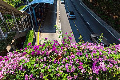 吴旦投资《黑神话》很骄傲：两分钟就决定加投1亿